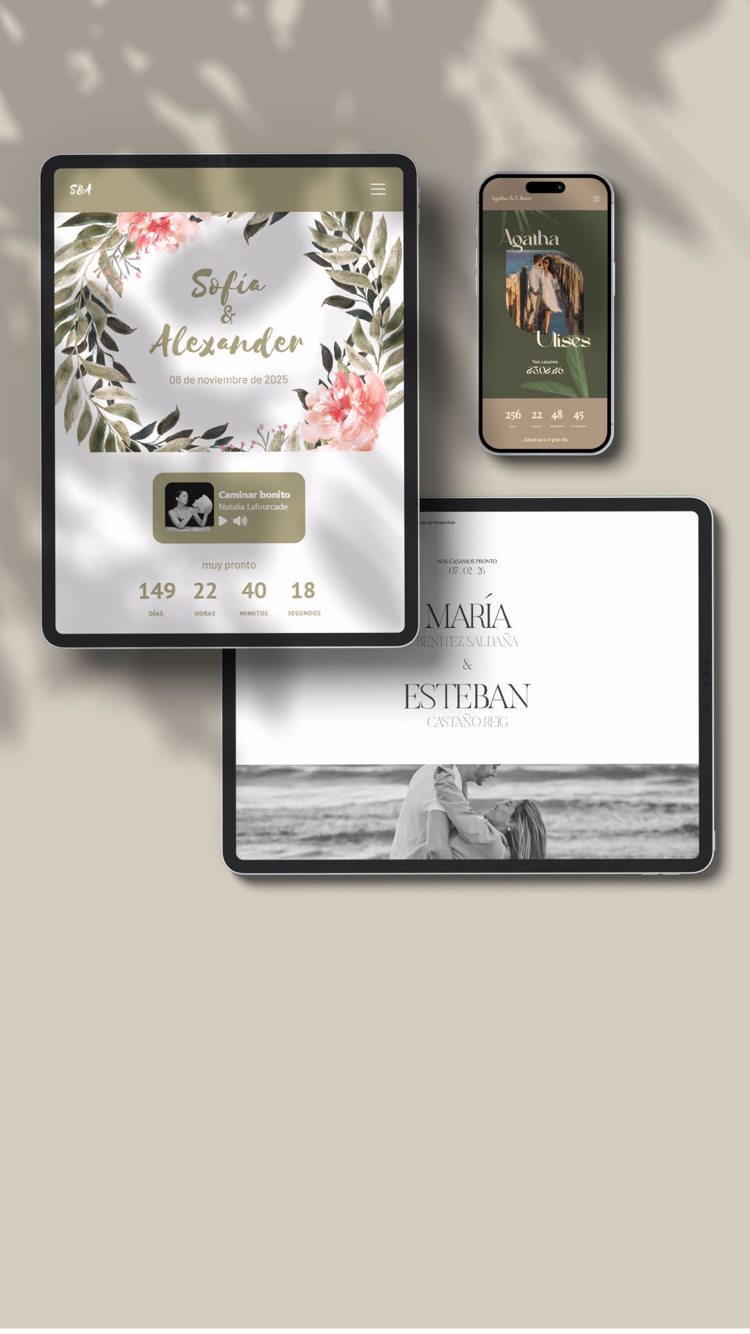 Web de Bodas